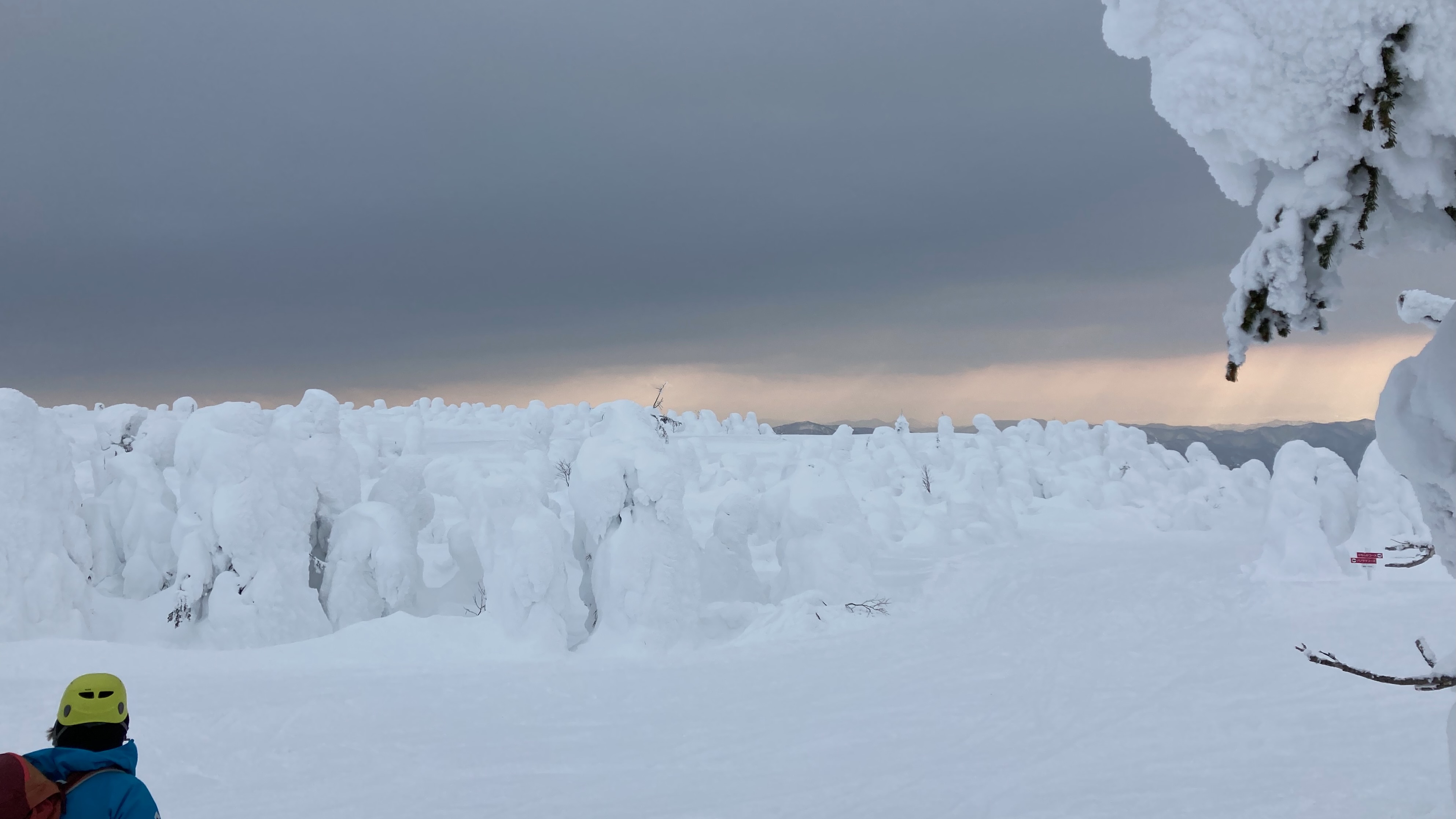蔵王スノーモンスター